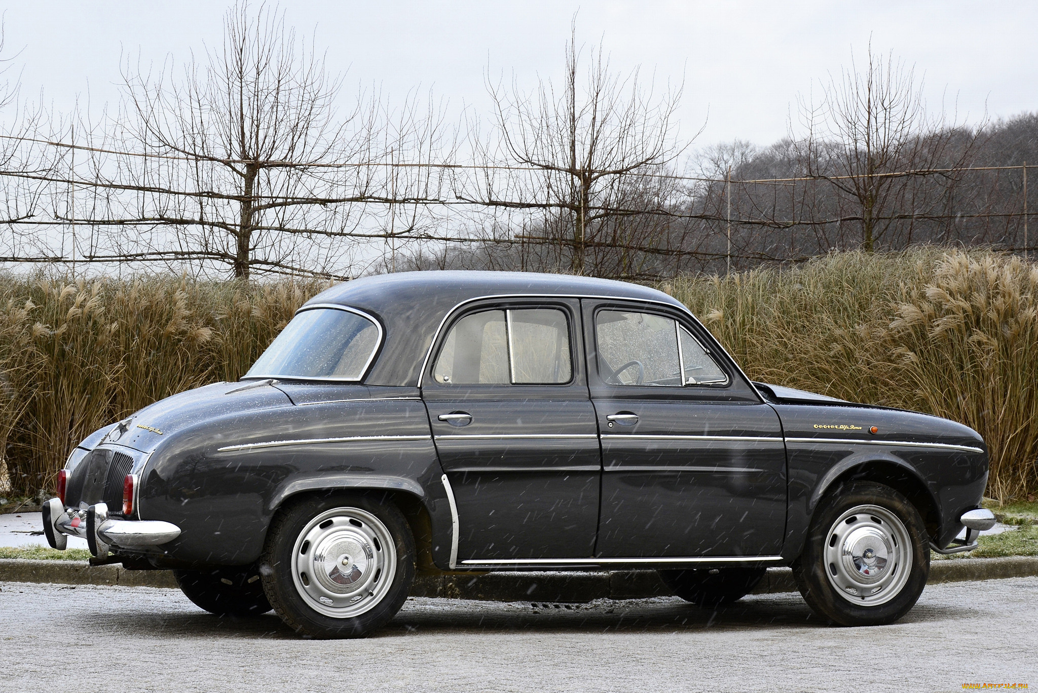 alfa romeo ondine 109 1963, , alfa romeo, alfa, romeo, black, 1963, 109, ondine